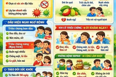 👉HÃY CHUNG TAY CHỦ ĐỘNG PHÒNG, CHỐNG BỆNH DO VIRUS NIPAH.